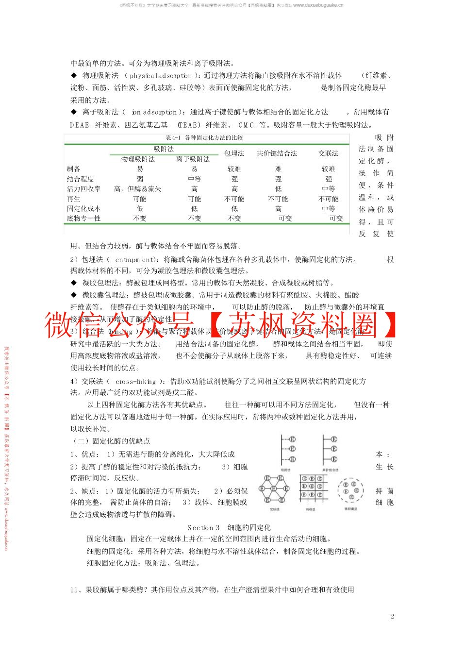 食品酶学